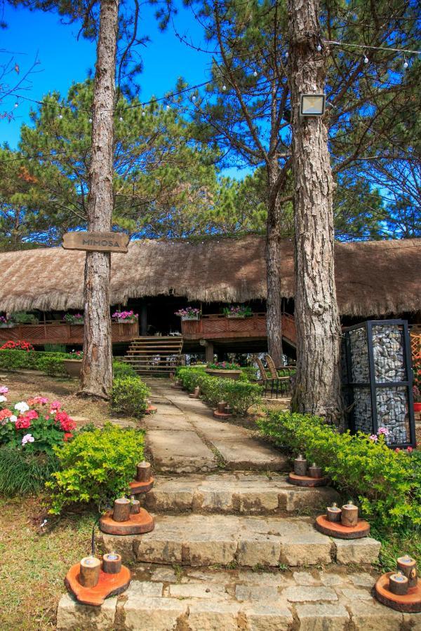 Ttc Dreamy Hill Resort - Unlimited Access To Ttc World - Thung Lung Tinh Yeu Dalat Exterior foto