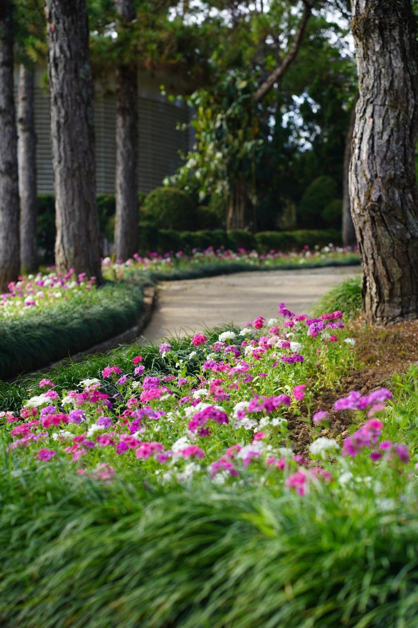 Ttc Dreamy Hill Resort - Unlimited Access To Ttc World - Thung Lung Tinh Yeu Dalat Exterior foto