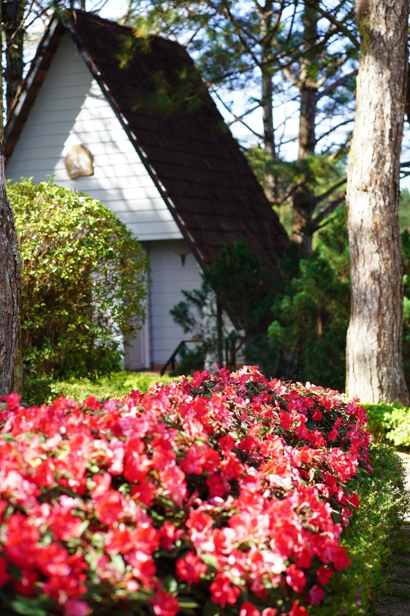 Ttc Dreamy Hill Resort - Unlimited Access To Ttc World - Thung Lung Tinh Yeu Dalat Exterior foto
